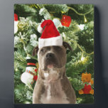 Pitbull Dog Christmas Tree Ornaments Snowman Fotoplatte<br><div class="desc">Pitbull Hund Weihnachtsbaumschmuck Schneemann Doormat.Niedlich Pitbull Hund mit Weihnachtsbaumschmuck Schneemann im Hintergrund.</div>