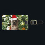 Pitbull Dog Christmas Tree Ornaments Snowman Gepäckanhänger<br><div class="desc">Pitbull Hund Weihnachtsbaumschmuck Schneemann Doormat.Niedlich Pitbull Hund mit Weihnachtsbaumschmuck Schneemann im Hintergrund.</div>