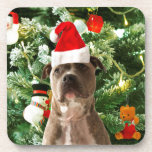 Pitbull Dog Christmas Tree Ornaments Snowman Getränkeuntersetzer<br><div class="desc">Pitbull Hund Weihnachtsbaumschmuck Schneemann Doormat.Niedlich Pitbull Hund mit Weihnachtsbaumschmuck Schneemann im Hintergrund.</div>