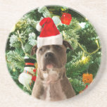 Pitbull Dog Christmas Tree Ornaments Snowman Getränkeuntersetzer<br><div class="desc">Pitbull Hund Weihnachtsbaumschmuck Schneemann Doormat.Niedlich Pitbull Hund mit Weihnachtsbaumschmuck Schneemann im Hintergrund.</div>