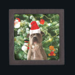 Pitbull Dog Christmas Tree Ornaments Snowman Kiste<br><div class="desc">Pitbull Hund Weihnachtsbaumschmuck Schneemann Doormat.Niedlich Pitbull Hund mit Weihnachtsbaumschmuck Schneemann im Hintergrund.</div>