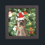 Pitbull Dog Christmas Tree Ornaments Snowman Kiste<br><div class="desc">Pitbull Hund Weihnachtsbaumschmuck Schneemann Doormat.Niedlich Pitbull Hund mit Weihnachtsbaumschmuck Schneemann im Hintergrund.</div>