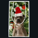 Pitbull Dog Christmas Tree Ornaments Snowman Kleine Geschenktüte<br><div class="desc">Pitbull Hund Weihnachtsbaumschmuck Snowman Geschenktasche.Niedlich Pitbull Hund mit Weihnachtsbaumschmuck Schneemann im Hintergrund.</div>