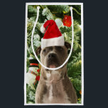 Pitbull Dog Christmas Tree Ornaments Snowman Kleine Geschenktüte<br><div class="desc">Pitbull Hund Weihnachtsbaumschmuck Snowman Geschenktasche.Niedlich Pitbull Hund mit Weihnachtsbaumschmuck Schneemann im Hintergrund.</div>
