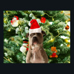 Pitbull Dog Christmas Tree Ornaments Snowman Poster<br><div class="desc">Pitbull Hund Weihnachtsbaumschmuck Snowman Poster. Niedlicher Pitbull Hund mit Weihnachtsbaumschmuck Schneemann im Hintergrund.</div>
