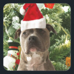 Pitbull Dog Christmas Tree Ornaments Snowman Quadratischer Aufkleber<br><div class="desc">Pitbull Hund Weihnachtsbaumschmuck Schneemann Doormat.Niedlich Pitbull Hund mit Weihnachtsbaumschmuck Schneemann im Hintergrund.</div>