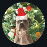 Pitbull Dog Christmas Tree Ornaments Snowman Runder Aufkleber<br><div class="desc">Pitbull Hund Weihnachtsbaumschmuck Schneemann Doormat.Niedlich Pitbull Hund mit Weihnachtsbaumschmuck Schneemann im Hintergrund.</div>