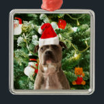 Pitbull Dog Christmas Tree Ornaments Snowman Silbernes Ornament<br><div class="desc">Pitbull Hund Weihnachtsbaumschmuck Schneemann Doormat.Niedlich Pitbull Hund mit Weihnachtsbaumschmuck Schneemann im Hintergrund.</div>