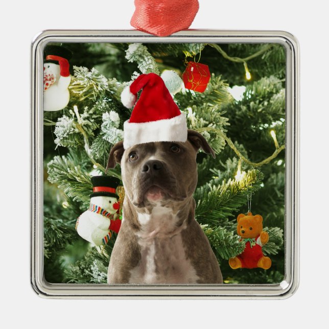 Pitbull Dog Christmas Tree Ornaments Snowman Silbernes Ornament (Vorne)
