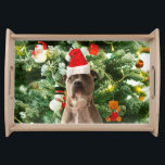 Pitbull Dog Christmas Tree Ornaments Snowman Tablett<br><div class="desc">Pitbull Hund Weihnachtsbaumschmuck Snowman Serviertablett.Niedlich Pitbull Hund mit Weihnachtsbaumschmuck Snow Man im Hintergrund.</div>