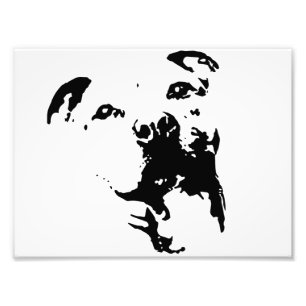 Pitbull Dog Fotodruck