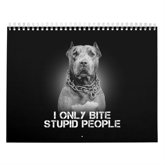 Pitbull Dog Kalender (Titelbild)