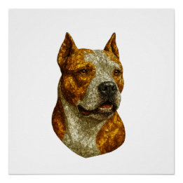 Pitbull Dog Portrait Poster