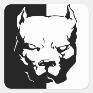 Pitbull Dog Quadratischer Aufkleber