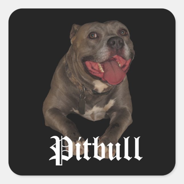 Pitbull Dog Stickers (Vorderseite)