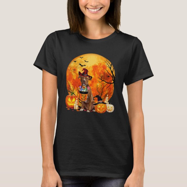Pitbull Dog Witch Pumpkin Halloween Costume T-Shirt (Vorderseite)