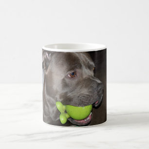 Pitbull Dog with Green Ball Dog Lovers  Tasse