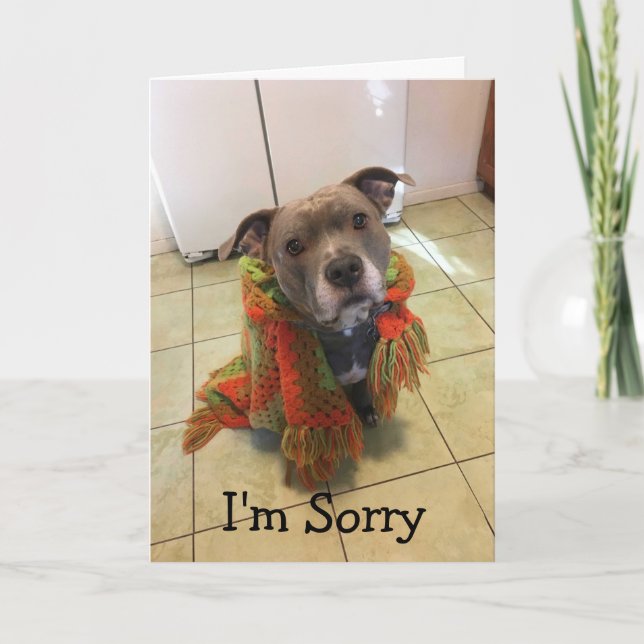 Pitbull Doghouse I'm Sorry card Karte (Vorderseite)