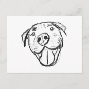 Pitbull Drawing Sing Dog Lovers Black White Postkarte