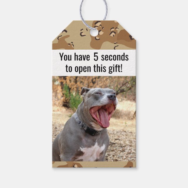 Pitbull Drill Sergeant Gift Tags Geschenkanhänger (Vorderseite)