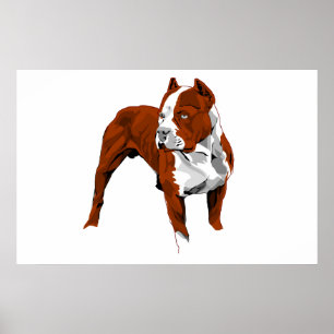 Pitbull Druck Poster