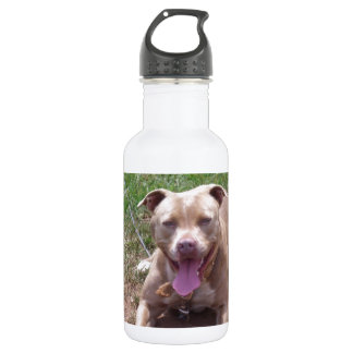 Pitbull Edelstahlflasche