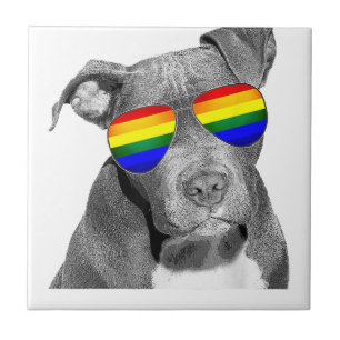 Pitbull Gay Pride Dog Clothing LGBT Funny Gift Rai Fliese