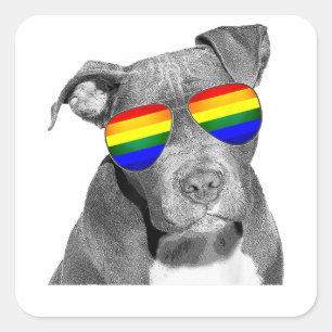 Pitbull Gay Pride Dog Clothing LGBT Funny Gift Rai Quadratischer Aufkleber