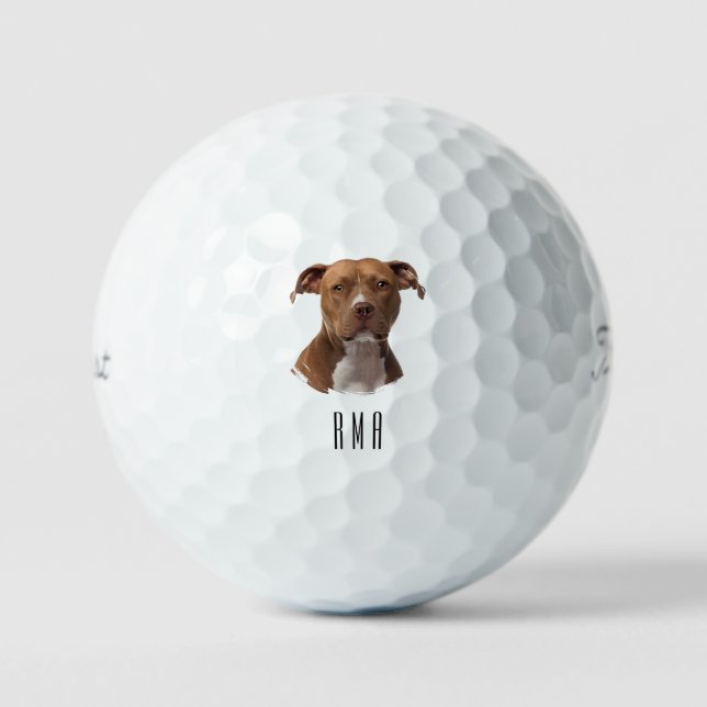 Pitbull Golfball (Vorderseite)