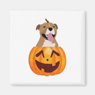 Pitbull Halloween Magnet