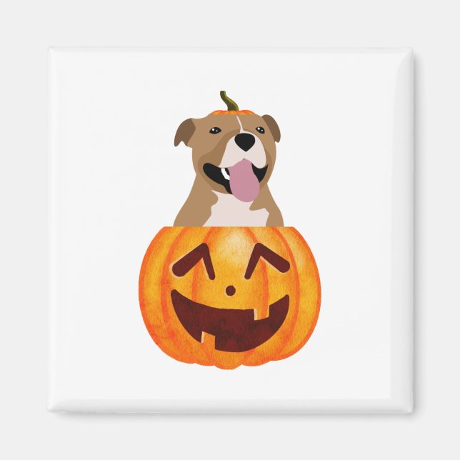 Pitbull Halloween Magnet (Vorne)