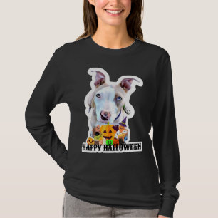 Pitbull Halloween Pumpkin T-Shirt