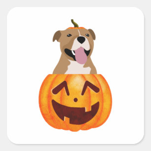 Pitbull Halloween Quadratischer Aufkleber