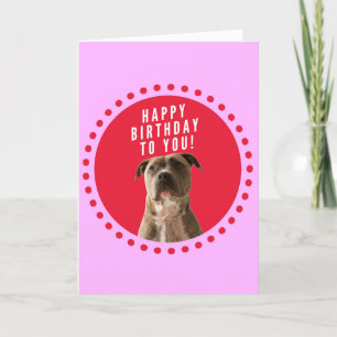Pitbull Hund Happy Birthday Pink Dots Grußkarte Karte
