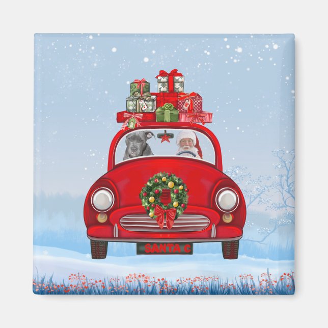 Pitbull Hund in Auto mit dem Weihnachtsmann Magnet (Vorne)