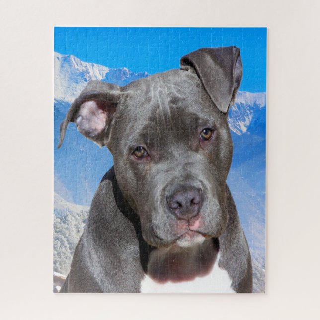 Pitbull Hund. Puzzle (Vertikal)