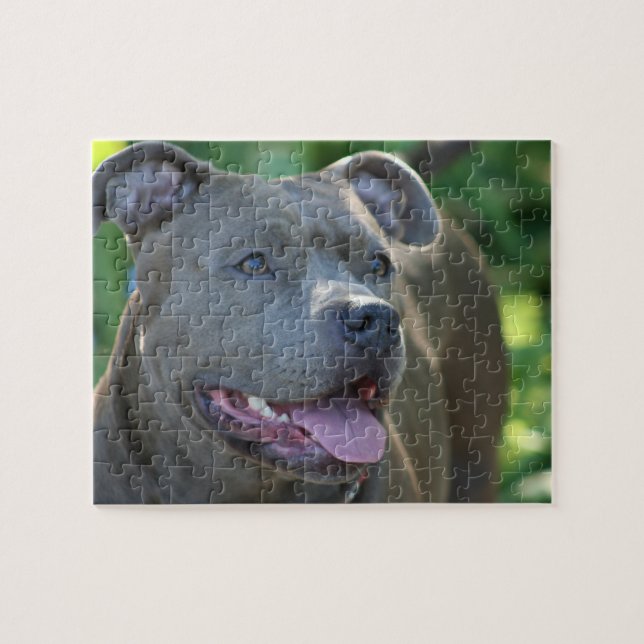 Pitbull Hund Puzzle (Horizontal)
