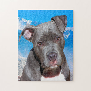 Pitbull Hund. Puzzle