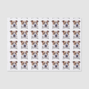 Pitbull Hund Seidenpapier