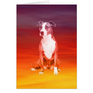 Pitbull Hund sitzend am Strand