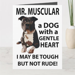 Pitbull-Hund Tier Gruß  Karte