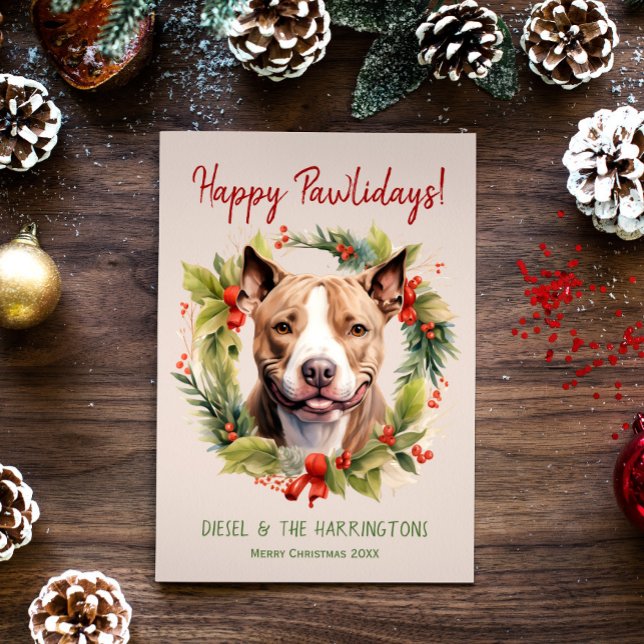 Pitbull Hund Weihnachten glücklich Pawlidays Urlau (Von Creator hochgeladen)