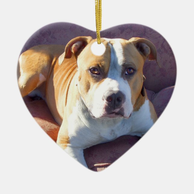 Pitbull Hundeverzierung Keramikornament (Vorne)