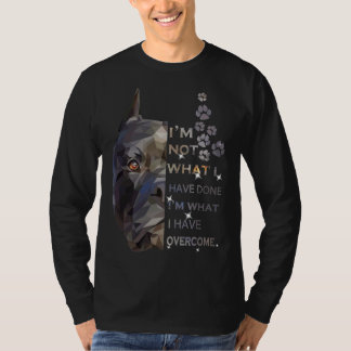 Pitbull I bin das, was ich überwunden habe T-Shirt