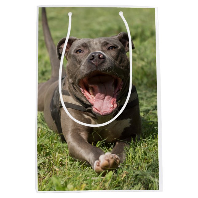 Pitbull im Gras| Bearbeitbares Foto Mittlere Geschenktüte (Vorderseite)