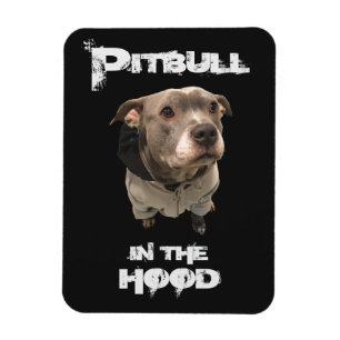 Pitbull im Hood Magnet