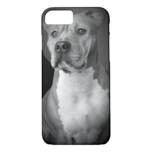 Pitbull iPhone Fall Case-Mate iPhone Hülle