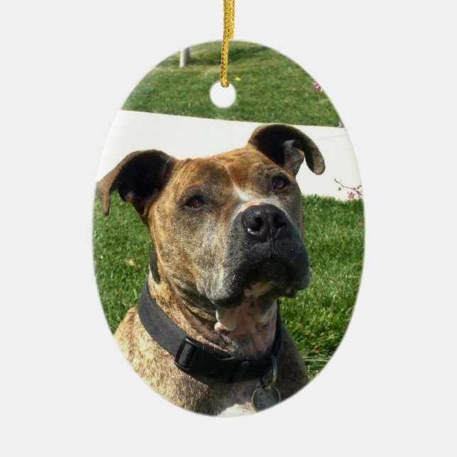 Pitbull Keramik Ornament (Vorne)