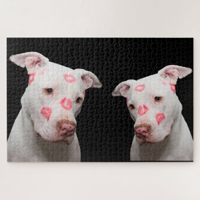 Pitbull Kisses Puzzle (Horizontal)