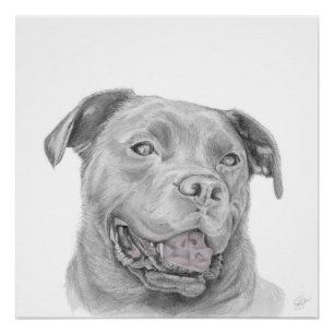 Pitbull-Kunstzeichnung American Staffordshire Terr Poster